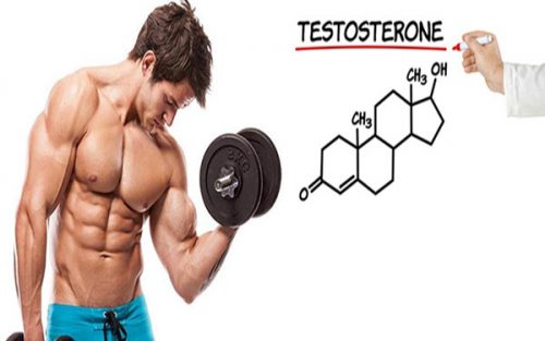 Hoocmon testosteron giúp nam tăng cường phát triển cơ bắp, xương và hệ cơ
