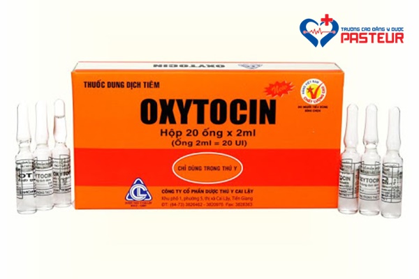 thuốc Oxytocin có tác dụng gì